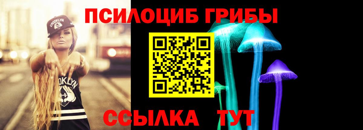 Галлюциногенные грибы Psilocybe Кулебаки